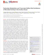 Particulate metabolites and transcripts reflect diel oscillations of microbial activity in the surface ocean