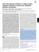 Diel transcriptional oscillations of light-sensitive regulatory elements in open-ocean eukaryotic plankton communities