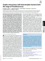 Trophic interactions with heterotrophic bacteria limit the range of Prochlorococcus