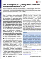 Two distinct pools of B12 analogs reveal community interdependencies in the ocean