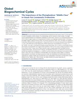 The importance of the phytoplankton “middle class” to ocean net community production