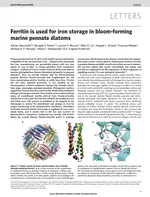 Ferritin is used for iron storage in bloom-forming marine pennate diatoms