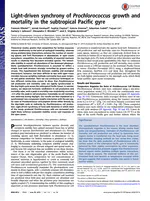 Light-driven synchrony of Prochlorococcus growth and mortality in the subtropical Pacific gyre