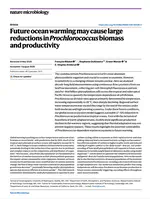 Future ocean warming may cause large reductions in Prochlorococcus biomass and productivity