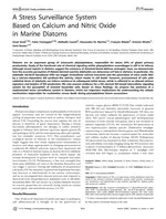 A stress surveillance system based on calcium and nitric oxide in marine diatoms