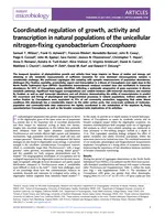 Coordinated regulation of growth, activity and transcription in natural populations of the unicellular nitrogen-fixing cyanobacterium Crocosphaera