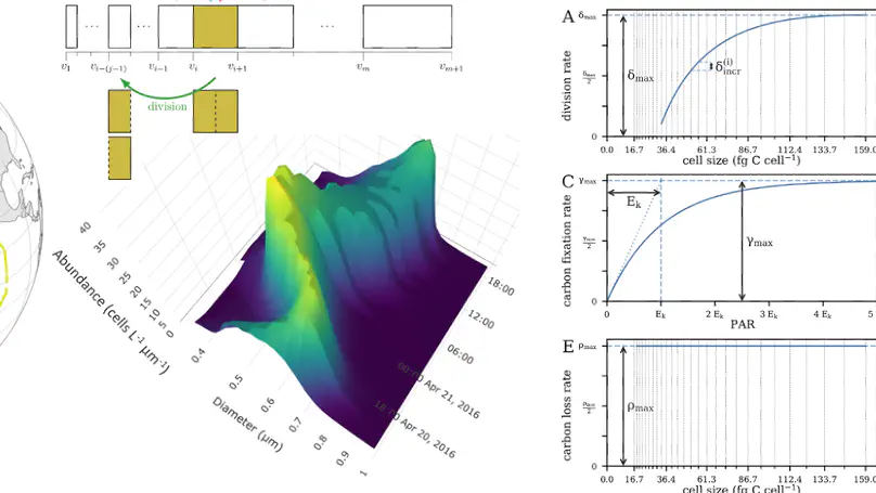 Computational Modeling of Phytoplankton Population Dynamics